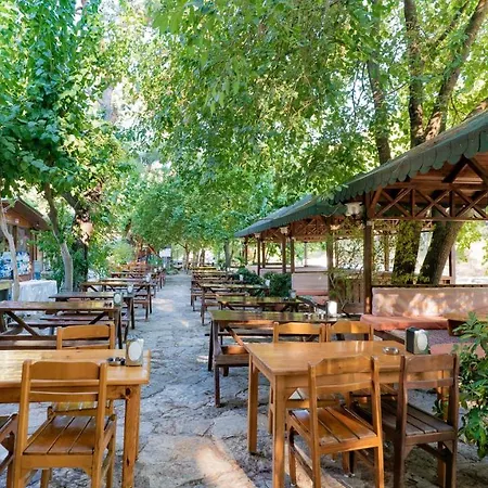 Turkmen Tree 3* Olympos