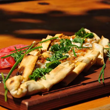 Turkmen Tree Kompleks wypoczynkowy