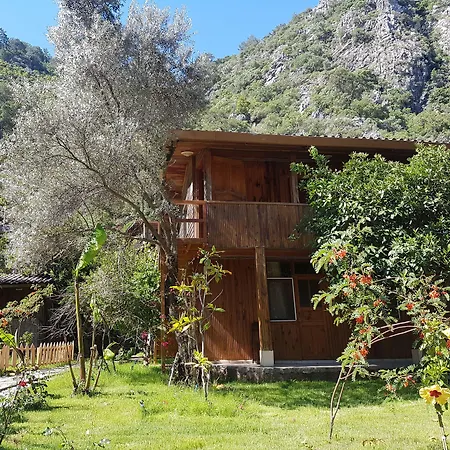 Turkmen Tree Kompleks wypoczynkowy Olympos