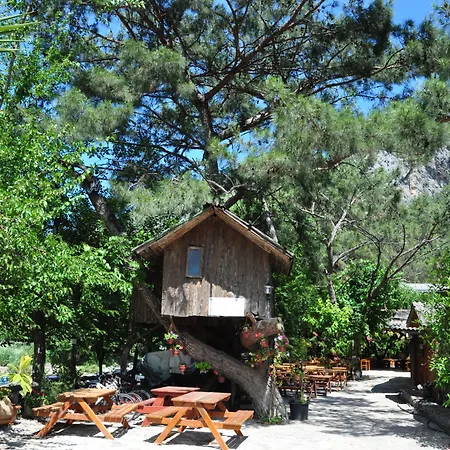 Kompleks wypoczynkowy Turkmen Tree 3*