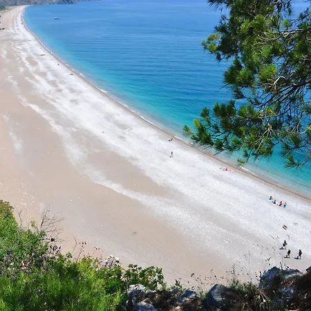 Kompleks wypoczynkowy Turkmen Tree 3*