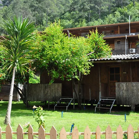 Turkmen Tree Kompleks wypoczynkowy