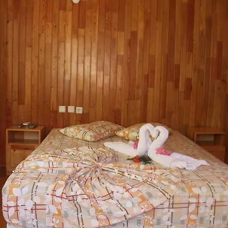 Kompleks wypoczynkowy Turkmen Tree 3*