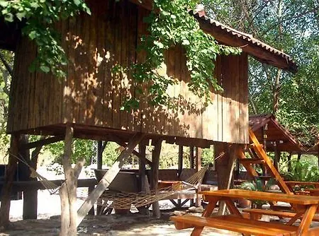 Kompleks wypoczynkowy Turkmen Tree