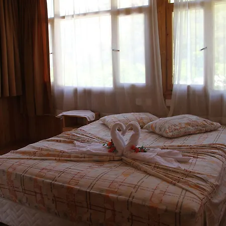 Kompleks wypoczynkowy Turkmen Tree 3*