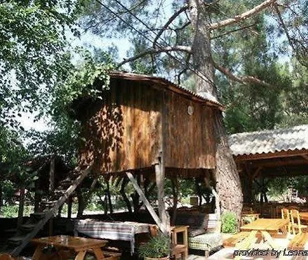 Kompleks wypoczynkowy Turkmen Tree 3*