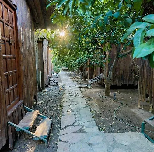 Holiday park Turkmen Tree