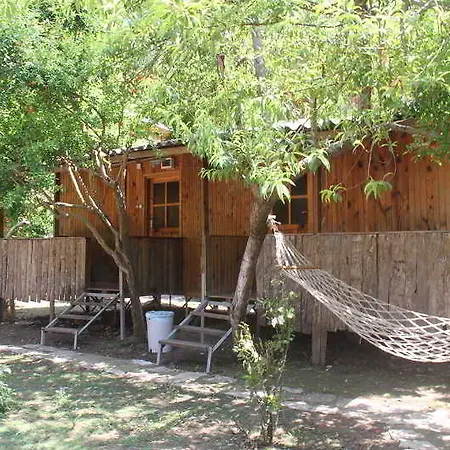 Holiday park Turkmen Tree