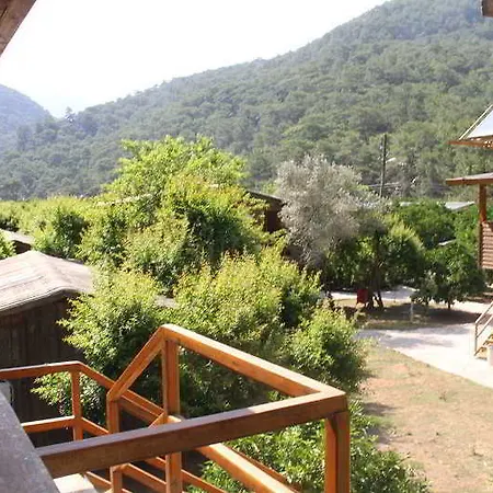 Turkmen Tree Πάρκο διακοπών Όλυμπος