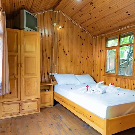 Holiday park Turkmen Tree 3*