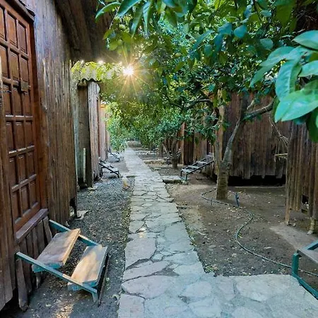 Πάρκο διακοπών Turkmen Tree