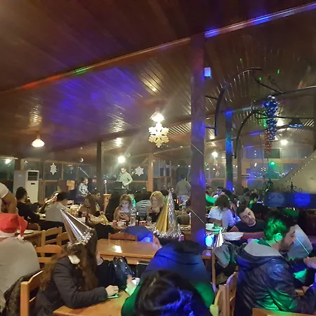 Turkmen Tree Όλυμπος