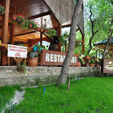 Πάρκο διακοπών Turkmen Tree 3*