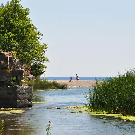 Turkmen Tree Πάρκο διακοπών Όλυμπος