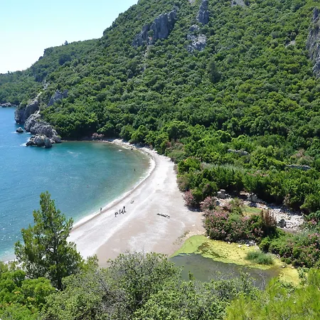 Turkmen Tree Πάρκο διακοπών