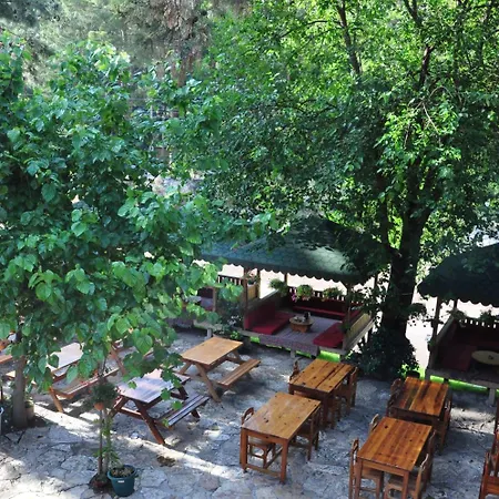 Πάρκο διακοπών Turkmen Tree 3*