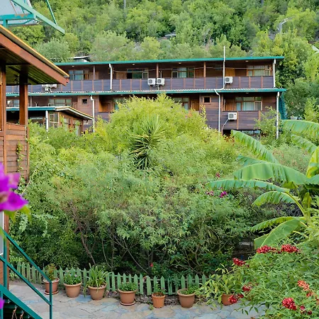 Turkmen Tree Όλυμπος