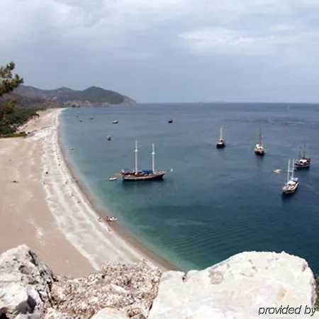 Turkmen Tree Πάρκο διακοπών