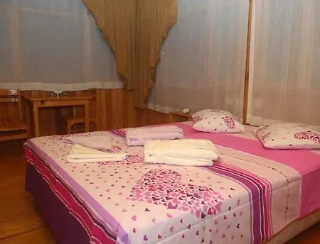 Turkmen Tree Όλυμπος