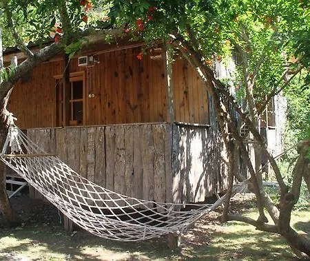 Πάρκο διακοπών Turkmen Tree 3*