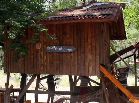 Holiday park Turkmen Tree Olympos