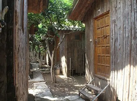 Holiday park Turkmen Tree