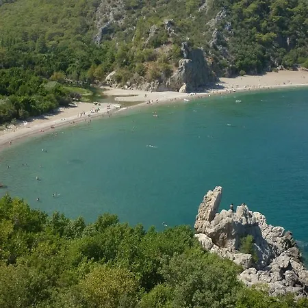 Πάρκο διακοπών Turkmen Tree