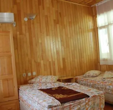 Turkmen Tree 3* Όλυμπος