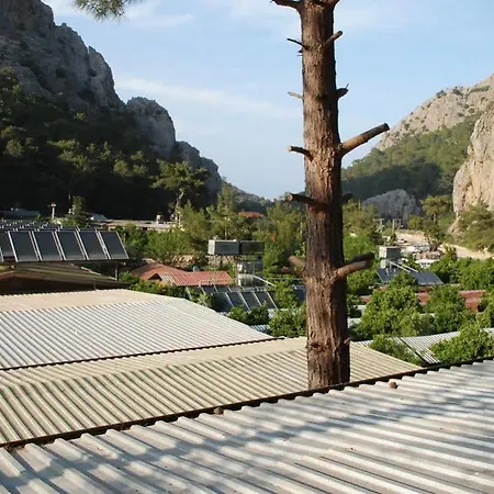 Turkmen Tree Holiday park
