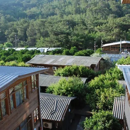 Πάρκο διακοπών Turkmen Tree 3*