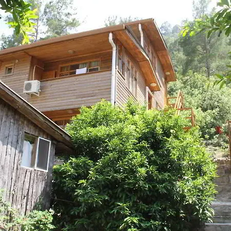 Turkmen Tree Πάρκο διακοπών