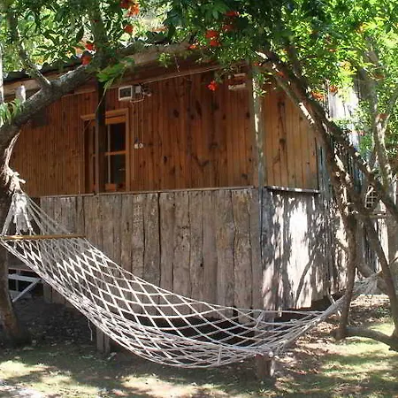 Turkmen Tree Holiday park 3*