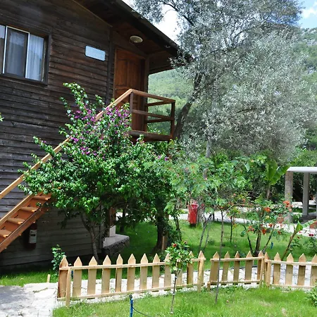 Turkmen Tree Holiday park Olympos