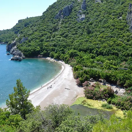 Turkmen Tree Holiday park Olympos