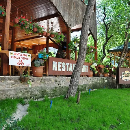 Holiday park Turkmen Tree Olympos