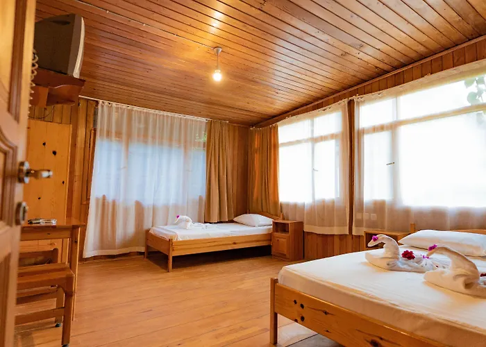 Turkmen Tree 3* Olympos