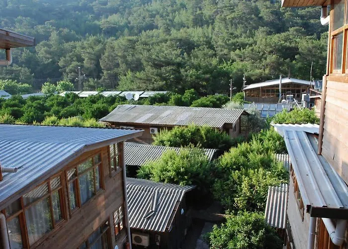 Tatil parkı Turkmen Tree 3*